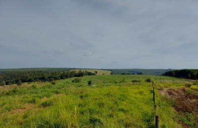 Fazenda para venda em BAURU